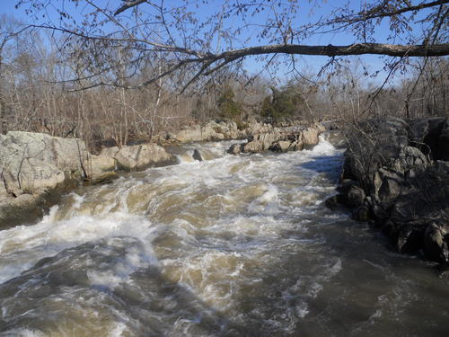 report photo