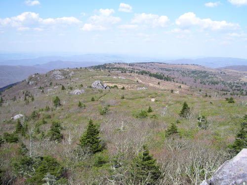 report photo