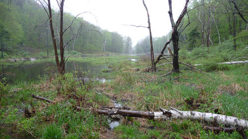 report photo