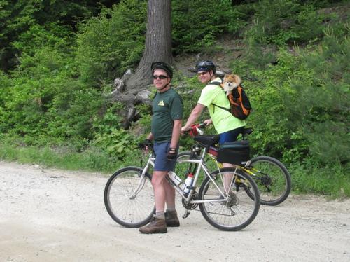 report photo