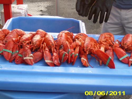 report photo