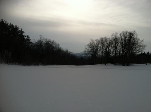 report photo