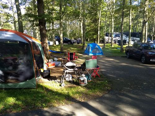report photo