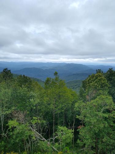 report photo